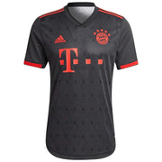 FC Bayern 22/23 Third Kit